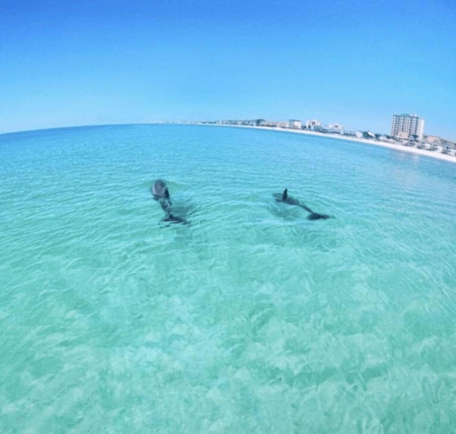Slt #2043 - Stunning View! Free Beach Service! Destin Exteriér fotografie